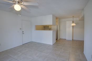 Living room and kitchen 